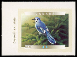Blue Jay - SA Canada Postage Stamp | Birds of Canada