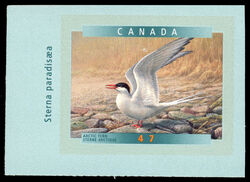 Arctic Tern - SA Canada Postage Stamp | Birds of Canada