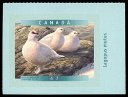 Rock Ptarmigan - SA Canada Postage Stamp | Birds of Canada