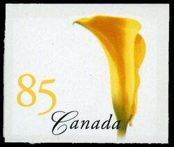 Yellow Calla Lily - Imperforate - 3mm Tagging Canada Postage Stamp | Flowers