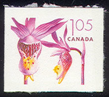 Pink Fairy Slipper - Calypso Bulbosa - Imperforate Canada Postage Stamp | Flowers