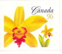Potinara Janet Elizabeth Fire Dancer -  Canada Postage Stamp | Flowers