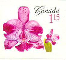 Laeliocattleya Memoria Evelyn Light -  Canada Postage Stamp | Flowers