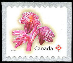 Striped Coralroot - Rounded Tips Canada Postage Stamp | Flowers
