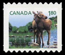 Moose - Baby Wildlife - Die Cut 9.2 Canada Postage Stamp | Baby Wildlife - Definitives