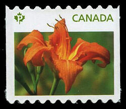 Orange Daylily - Coil Stamp Canada Postage Stamp | Daylilies