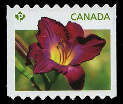 Purple Daylily - Coil Stamp Canada Postage Stamp | Daylilies
