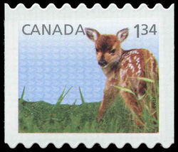 White-Tailed Deer - Baby Wildlife - Die Cut 9.2 Canada Postage Stamp | Baby Wildlife - Definitives