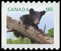 Black Bear - Baby Wildlife - Die Cut 9.2 Canada Postage Stamp | Baby Wildlife - Definitives