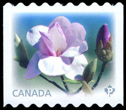 Eskimo Magnolias - Coil Stamp Canada Postage Stamp | Magnolias