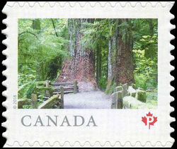 MacMillan Provincial Park (BC) - Full Perf Canada Postage Stamp | From Far and Wide