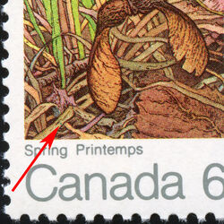 Spring - Green Frog On Leaf Canada Postage Stamp | The Maple in four Seasons