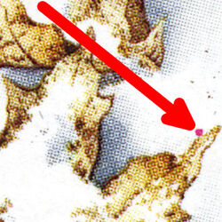 Winter - Red Dot On Right Leaf Canada Postage Stamp | The Maple in four Seasons