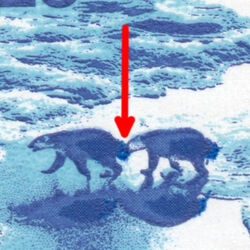 Polar Bears In Canadian North - Type I - Type II - OP2 4mm - Siamese Twins Canada Postage Stamp