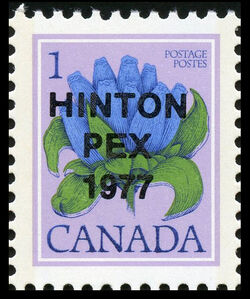Bottle Gentian, Gentiana Andrewsii - Hinton PEX 1977 Overprint Canada Postage Stamp | Wildflowers of Canada