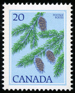 Douglas Fir, Pseudotsuga Menziesii - NF Canada Postage Stamp | Trees of Canada
