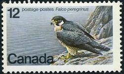 Peregrine Falcon, Falco Peregrinus - LF Canada Postage Stamp | Endangered Wildlife