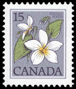 Canada Violet, Viola Canadensis - LF Canada Postage Stamp | Wildflowers of Canada