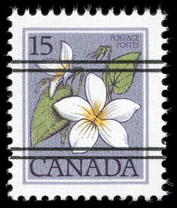 Canada Violet, Viola Canadensis - DF - Precanceled Canada Postage Stamp | Wildflowers of Canada