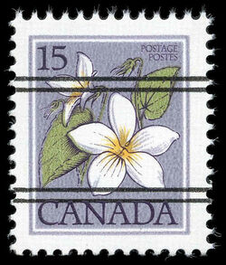 Canada Violet, Viola Canadensis - F - Precanceled Canada Postage Stamp | Wildflowers of Canada