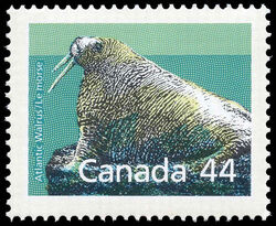 Atlantic Walrus - Booklet Single - Full Perf - Perf 12.5 X 13.1 Canada Postage Stamp | Canadian Mammals