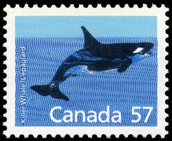 Killer Whale - Harrison Paper Canada Postage Stamp | Canadian Mammals