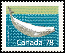 Beluga - Perf 13.1 Canada Postage Stamp | Canadian Mammals