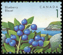 Blueberry - Snake In Grass Canada Postage Stamp | Edible Berries