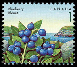 Blueberry - Blue Thread Canada Postage Stamp | Edible Berries