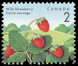 Wild Strawberry - Rose Thorn Canada Postage Stamp | Edible Berries