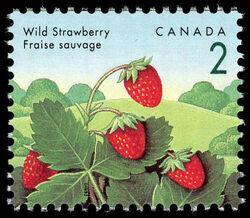 Wild Strawberry - Blue Thread Canada Postage Stamp | Edible Berries