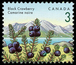 Black Crowberry - Poisoned Berry Canada Postage Stamp | Edible Berries