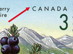 Black Crowberry - Blue Thread Canada Postage Stamp | Edible Berries