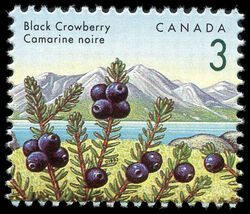 Black Crowberry - Snake In Bush Canada Postage Stamp | Edible Berries