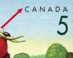 Rose Hip - Blue Thread Canada Postage Stamp | Edible Berries