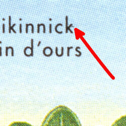Kinnikinnick - Stroke On K Canada Postage Stamp | Edible Berries