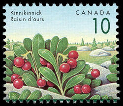 Kinnikinnick - Rose Thorn Canada Postage Stamp | Edible Berries