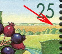 Saskatoon Berry - Snake In Grass Canada Postage Stamp | Edible Berries