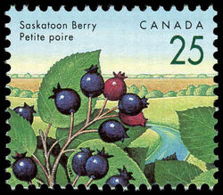 Saskatoon Berry - Rose Thorn Canada Postage Stamp | Edible Berries