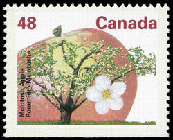 McIntosh Apple - Booklet Single Canada Postage Stamp | Fruit Trees