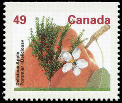 Delicious Apple - Booklet Single - Coated Papers - Perf 14.4 X 13.8 Canada Postage Stamp | Fruit Trees