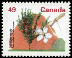 Delicious Apple - Harrison Paper - Perf 13.1 Canada Postage Stamp | Fruit Trees