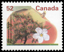 Gravenstein Apple - CPP - Perf 14.4 X 13.8 Canada Postage Stamp | Fruit Trees