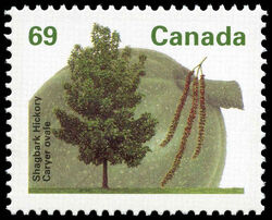 Shagbark Hickory - CPP Canada Postage Stamp | Fruit Trees
