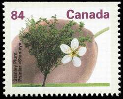 Stanley Plum - Booklet Single Canada Postage Stamp | Fruit Trees