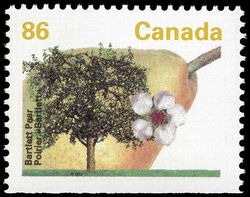 Bartlett Pear - Booklet Single - HP - Perf 13.1 Canada Postage Stamp | Fruit Trees
