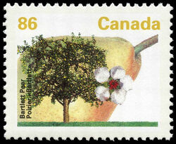 Bartlett Pear - HP - Perf 13.1 Canada Postage Stamp | Fruit Trees
