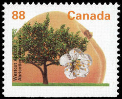 Westcot Apricot - Booklet Single - PP - GT4 - Perf 13.1 Canada Postage Stamp | Fruit Trees
