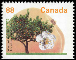 Westcot Apricot - Booklet Single - CPP - GT3 - Perf 14.4 X 13.8 Canada Postage Stamp | Fruit Trees