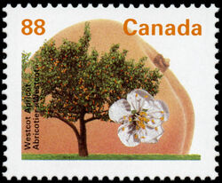 Westcot Apricot - CPP - GT3 - Perf 13.1 Canada Postage Stamp | Fruit Trees